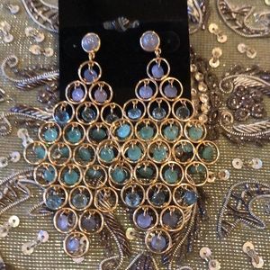 Beautiful Aqua blue earrings. Never worn